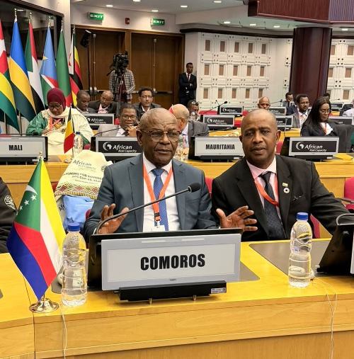 Arc Cop16 à Addis Abeba I Mieux assurer l’Afrique pour assurer sa résilience climatique