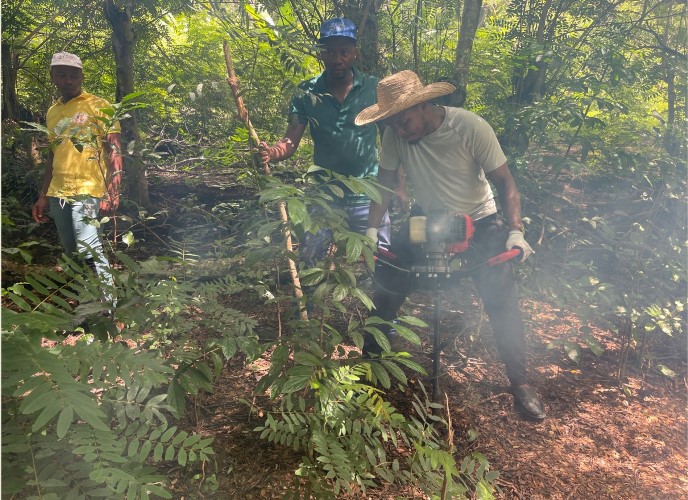 Environnement : une opération de reboisement au lac de Bunduni